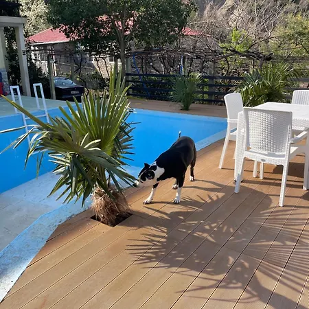 Domus Komanesse - 4*